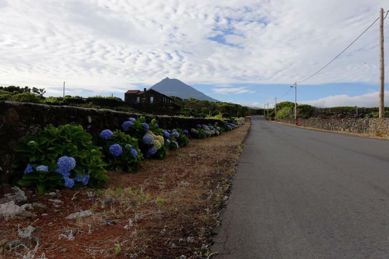 Adega Mourato Holiday home